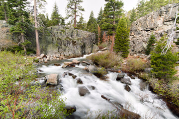 Eagle Falls I