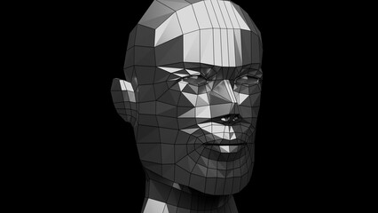 face of a person made in 3d wireframe