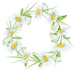 Watercolor meadow wreath of wildflowers. Botanical flower card on white background, natural frame.
