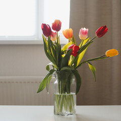 Beautiful bouquet of tulips in glass vase on white table in a cozy room interior. Blooming flowers decoration in living room 