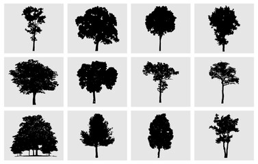 Tree Silhouette Set, Forest trees bundle, silhouette, tree vector
