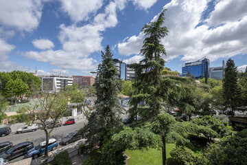 Fototapeta premium A park with grass and trees in an office area on a bright day there are some clouds