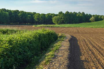 Scorci della campagna Novarese, Novara Piemonte