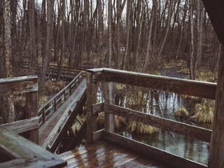 wooden bridge in the forest - 577143915