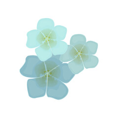 Three blue flowers. Spring vector flowers, illustration