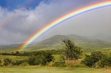 Gorgeous deeply colored rainbow over the west maui mountains.