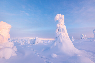 winter landscape with snow
