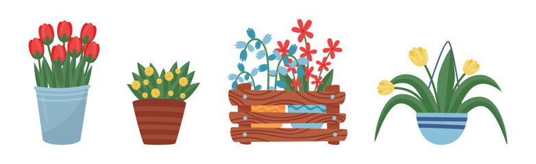 Flower Shop with Different Plant in Pots Vector Set
