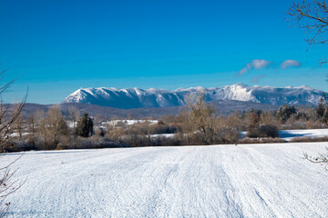 winter landscape with the Nanos plateau in the background covered with snow