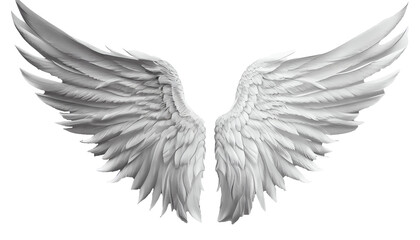 Fototapeta na wymiar Angel wings isolated on white transparent background