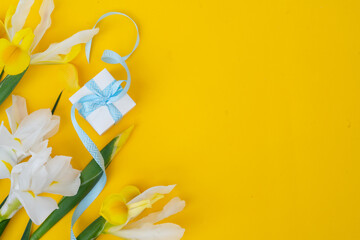 Fototapeta Irises flowers on bright yellow spring background, Easter festive background with gift box obraz