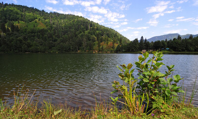 Borcka Karagol - Artvin - TURKEY
