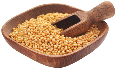 Golden Mustard