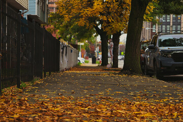 Autumn shot of the sidewalk
