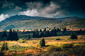 Naklejka premium autumn landscape with mountains and sky