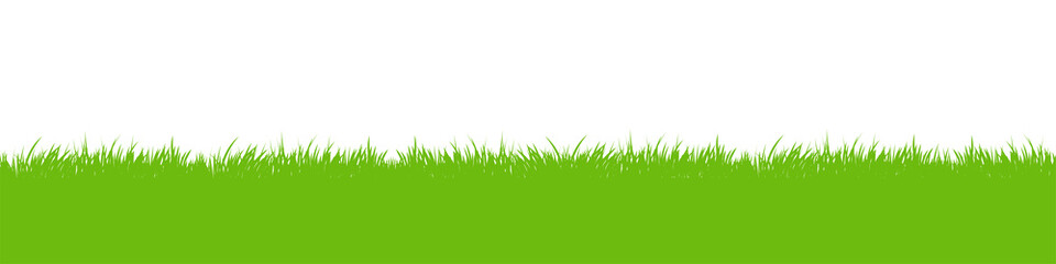 Fototapeta na wymiar Green vector grass meadow on transparent background. Easter concept: spring, Easter, holiday. PNG image