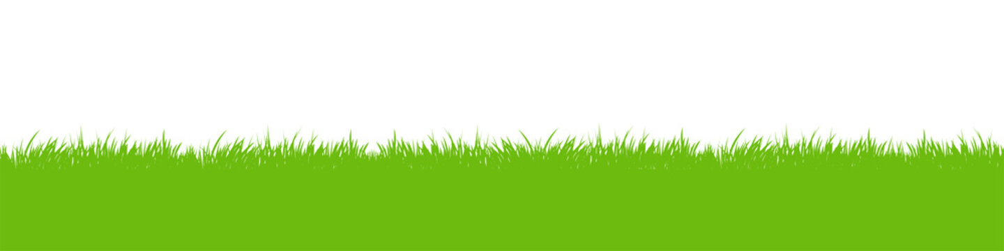 Green vector grass meadow on transparent background. Easter concept: spring, Easter, holiday. PNG image