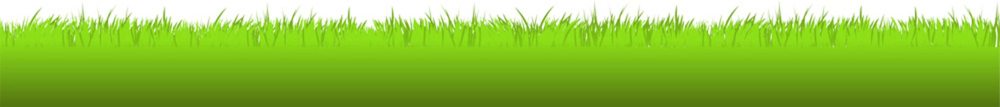 Green vector grass meadow on transparent background. Easter concept: spring, Easter, holiday. PNG image