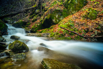 waterfall in the forest