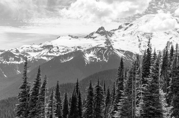 snow covered mountains with forest