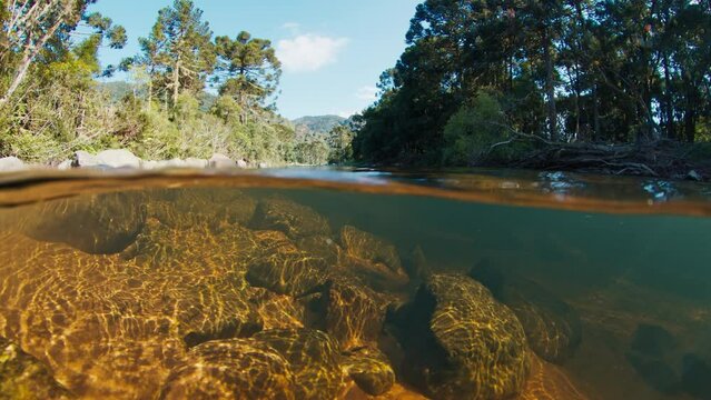 Rapid river in the mountains. Splitted underwater view of the river with clean water