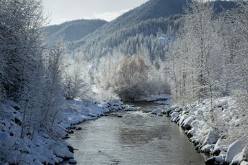 Scenic river during winter in Idaho.