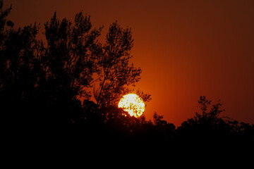 Oregon summer morning sunrise creating a beautiful orange sky for a background that is positive and energetic 