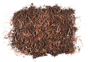 Pile of soil scattered and conifer yellow leaves, needles isolated on white background and texture, top view
