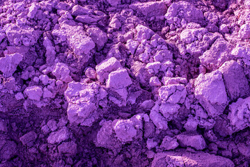Texture of the purple surreal ground, background.	

