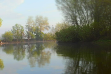 reflection in the water