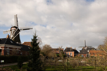 Winsum skyine with two windmills from Holland. De Vriendschap and De Ster located in the town centre raised above houses rooftops by tower to catch wind. typical iconic scene in rural Netherlands © drew