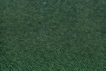 texture of green carpet