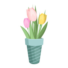 Tulip flowers bouquet in a vase. Isolated on white background. Flower arrangement. Vector illustration.