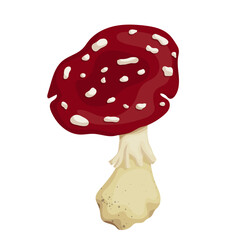 Red forest mushroom fly agaric. Cartoon vector graphics.