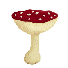 Red forest mushroom fly agaric. Cartoon vector graphics.