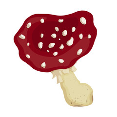 Red forest mushroom fly agaric. Cartoon vector graphics.
