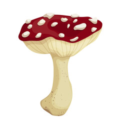 Red forest mushroom fly agaric. Cartoon vector graphics.
