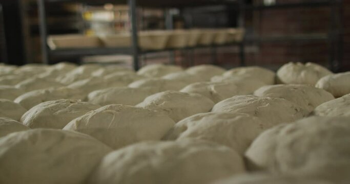 Animation of bread prepared for baking at bakery