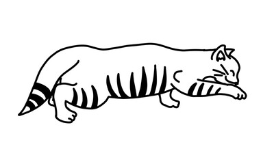 Funny cat in cartoon hand drawn outline doodle style.