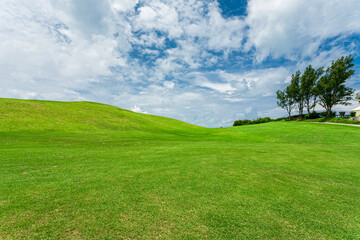 Obraz premium Golf Course