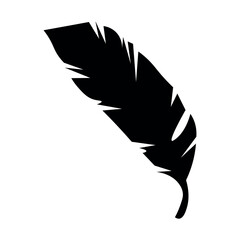 Tropical palm leaf on white background