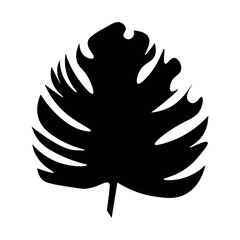 Tropical palm leaf on white background