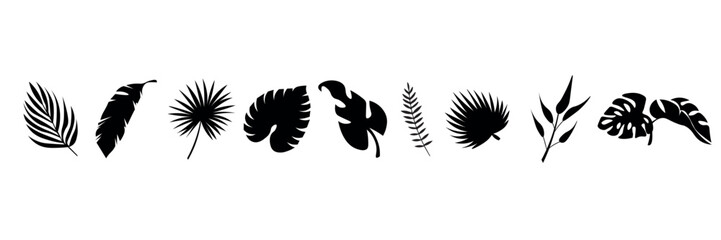 Set of different tropical leaves on white background