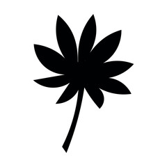 Tropical leaf on white background