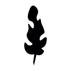 Tropical leaf on white background