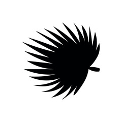 Tropical palm leaf on white background