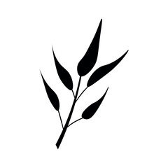 Tropical leaves on white background