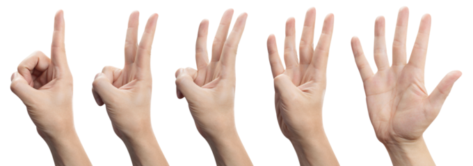 Hands set showing number signs from 1 to 5, cut out