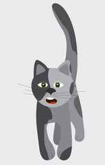 Gray spotted cat with green eyes screaming
