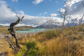 Lake Lago del Pehoe in the Torres del Paine national park, Patagonia, Chile